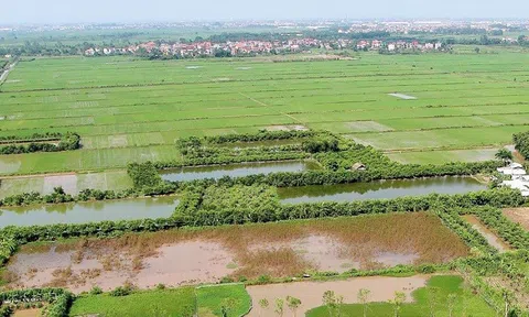 Có được mua đất nông nghiệp ở địa phương khác không?