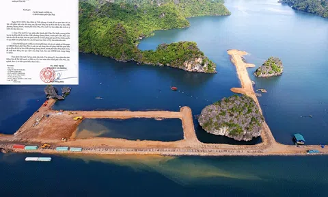 Chủ tịch tỉnh Quảng Ninh: Khẩn trương kiểm tra dự án Khu đô thị tại khu 10B, báo cáo UBND tỉnh trong tháng 11