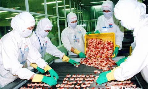 Cổ phiếu có nguy cơ bị hủy niêm yết bắt buộc, BLF nói gì?
