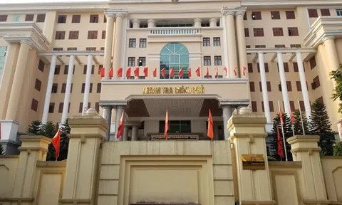 Chức năng, cơ cấu tổ chức của Thanh tra Chính phủ