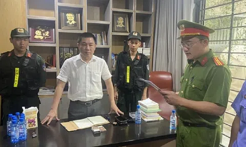 Bắt Chủ tịch Công ty LDG liên quan vụ xây gần 500 căn nhà trái phép ở Đồng Nai