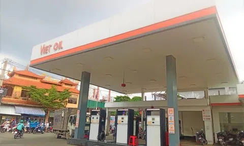 Vụ Xuyên Việt Oil: Khởi tố Giám đốc Sở; cựu Bí thư Tỉnh ủy; nữ Giám đốc, Phó Giám đốc doanh nghiệp