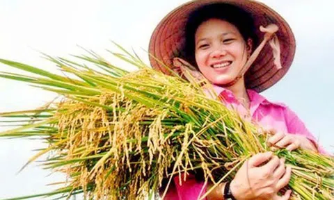 TOÀN VĂN: Điều lệ Hội Nông dân Việt Nam (sửa đổi, bổ sung)