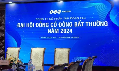 Đại hội cổ đông bất thường của FLC bất thành