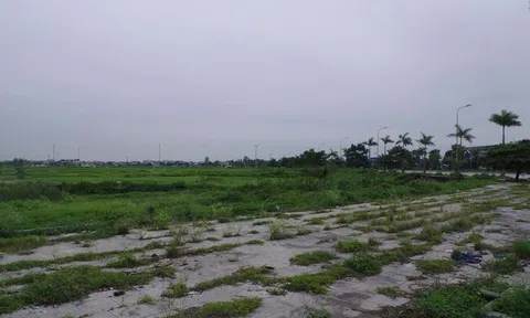 Lộ diện “ông lớn” trúng đấu giá 10ha đất vàng trị giá hơn 451 tỷ đồng tại Thanh Hoá