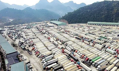 Cảnh báo lừa đảo khi xuất khẩu nông sản sang Trung Quốc