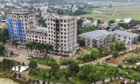 Xây dựng không phép, chủ một khu sinh thái tại Hà Nội bị xử phạt
