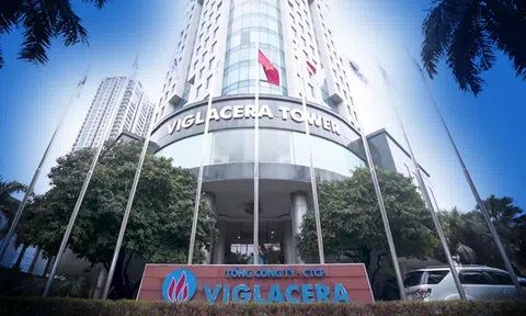 Lãi hơn nghìn tỷ, Viglacera bị Tổng cục Thuế xử phạt vì lý do gì?