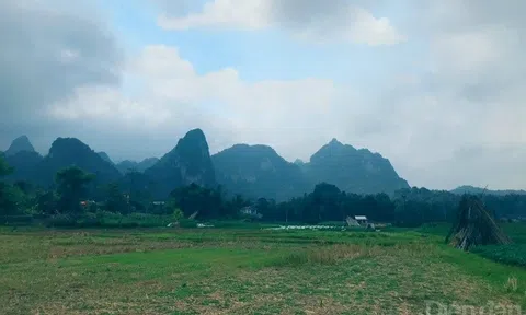 Để trễ hẹn giải quyết 1193 hồ sơ lĩnh vực đất đai nhưng chưa có văn bản xin lỗi là chưa đúng quy định