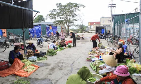 Đất DCH là gì? Quy định sử dụng đất DCH