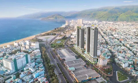 Vì sao Công ty cổ phần đầu tư phát triển Bất động sản Đô Thành bị Bình Định xử phạt 500 triệu đồng?