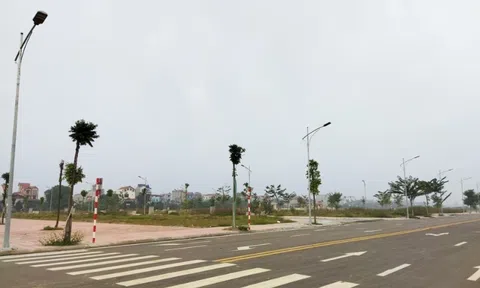 Vì sao người trúng đấu giá đất cao nhất lịch sử Việt Nam được trả lại tiền cọc?
