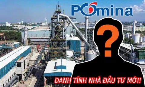 Tình tiết mới nhất trong kế hoạch tái cấu trúc Pomina: Danh tính nhà đầu tư mua 2 nhà máy tại Bình Dương và Bà Rịa - Vũng Tàu dần lộ diện