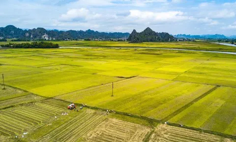 Luật Đất đai 2024: Quy định về tích tụ đất nông nghiệp