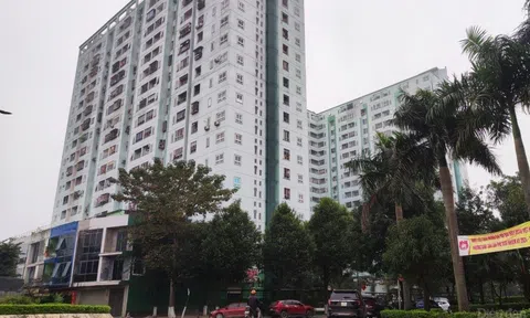 Vụ doanh nghiệp bị “trát” nộp thuế ở Nghệ An: “Trống đánh xuôi, kèn thổi ngược”?