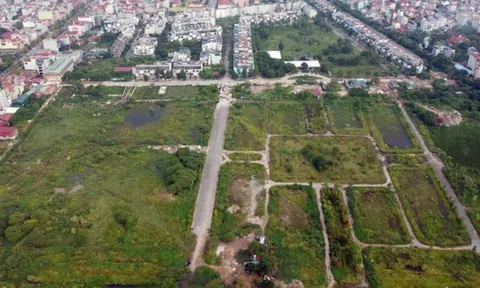 Luật Đất đai 2024: Quy định hòa giải tranh chấp đất đai