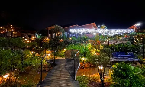 Mở đường, xây dựng homestay trái phép: Kỷ luật Chủ tịch, Phó Chủ tịch và công chức địa chính; chuyển hồ sơ sang cơ quan điều tra