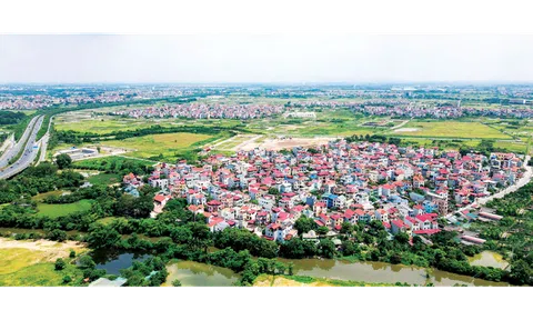 Luật Đất đai 2024: Thẩm quyền giải quyết tranh chấp đất đai