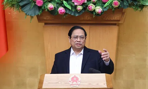 Tinh giản đầu mối xuất khẩu; triển khai sàn giao dịch nông sản; đưa 'thương lái' vào chuỗi giá trị lúa, gạo