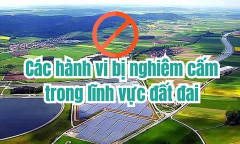 Luật Đất đai 2024: Các hành vi nào bị nghiêm cấm trong lĩnh vực đất đai?