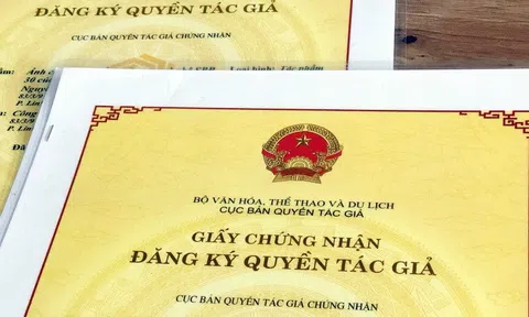 Hồ sơ cấp đổi chứng nhận quyền tác giả chương trình máy tính