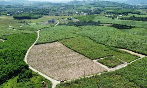 Quy định hạn mức giao đất nông nghiệp