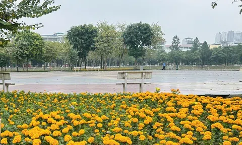 Cần đồng bộ các tiêu chí trong công tác cải tạo, nâng cấp công viên