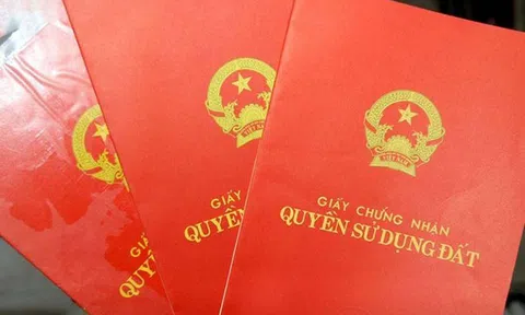 Quảng Ngãi: Hàng trăm giấy chứng nhận quyền sử dụng đất đã ký nhưng chưa trao cho người dân