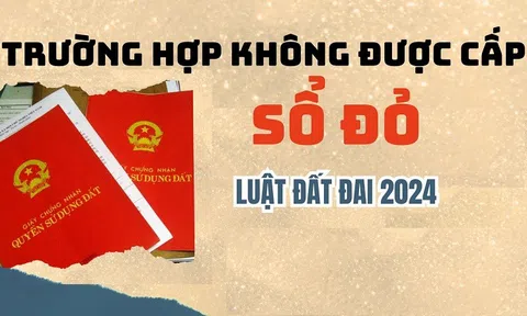 Luật Đất đai 2024: Trường hợp nào không được cấp sổ đỏ?