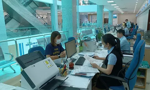 Cơ cấu ngạch công chức của các đơn vị, cơ quan sẽ được xác định như thế nào?