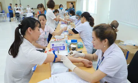 Lao động nữ được hưởng những quyền lợi gì về lao động và BHXH?