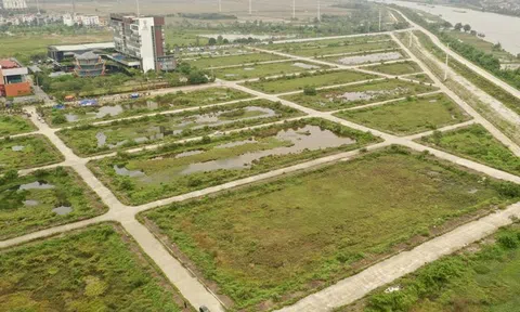 Sắp đấu giá 163 lô đất tại Ninh Bình, giá khởi điểm hơn 5 triệu đồng/m2