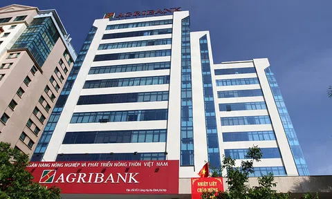 Một công ty có vốn điều lệ chỉ 12 tỷ đang nợ Agribank gần 200 tỷ đồng