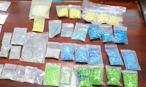 Tuyên Quang: Phá thành công chuyên án, thu giữ 10kg ma túy các loại