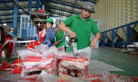 Xây dựng, bảo hộ thương hiệu nông sản Việt – Cần bắt đầu từ đâu?