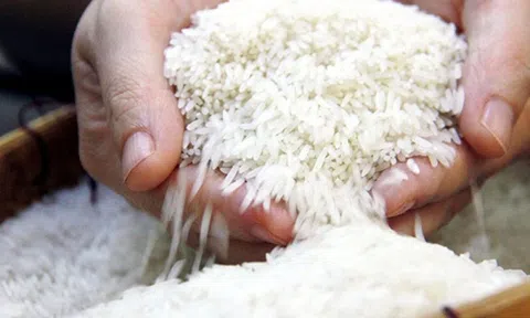 Gạo Việt ở đâu trên “bản đồ lương thực” thế giới?