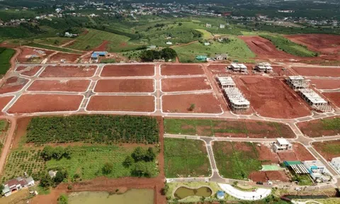Mua bán đất nền tại Lâm Đồng cần chú ý đến những vùng đất nào?