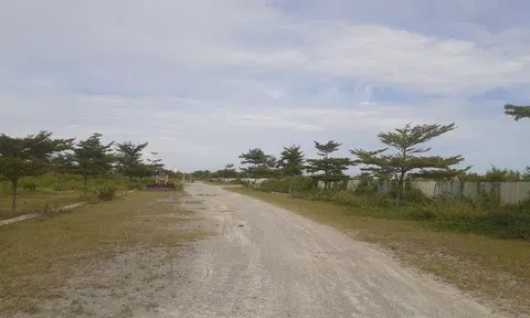 Có được cấp giấy chứng nhận và chuyển nhượng quyền sử dụng đất cho người mua khi chưa hoàn thành toàn bộ dự án?