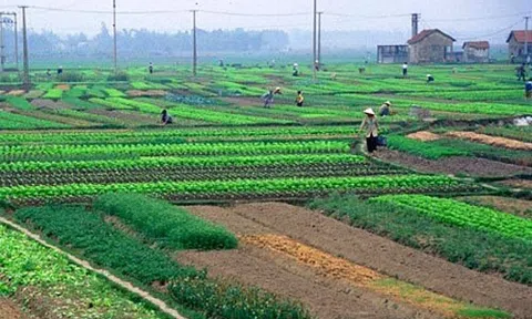 Hỗ trợ giải quyết việc làm, đào tạo nghề cho người có đất thu hồi
