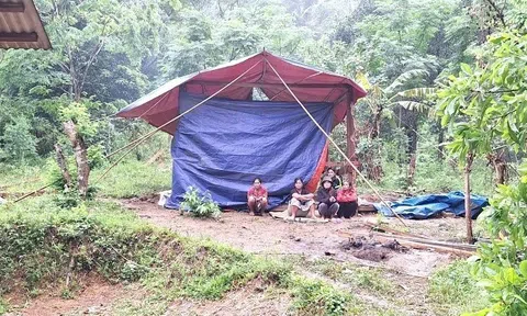 Quảng Bình: Truy bắt nghi phạm giết người rồi trốn vào rừng