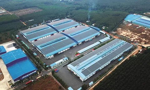 Công ty cung cấp nội thất cho Novaland, Vinhomes… mất 1/3 doanh thu mảng dự án, vừa nhận lại hàng trăm tỷ tiền cọc tại Novaworld Phan Thiết