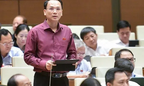 Vé máy bay lại nóng diễn đàn Quốc hội