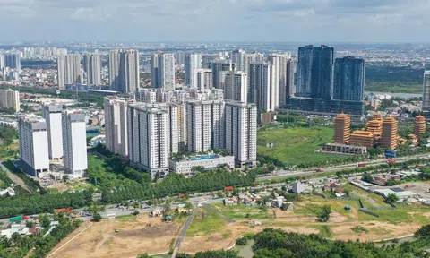 Chính phủ trình Quốc hội cho phép thi hành sớm 3 Luật từ 1/8/2024