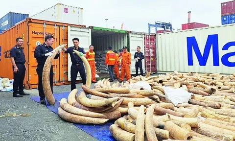 Mở rộng quy mô Chiến dịch Con rồng Mekong, tăng cường phát hiện sớm các đường dây buôn lậu xuyên quốc gia