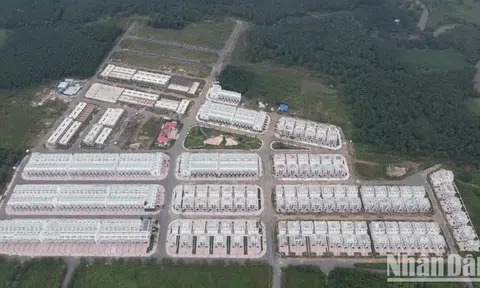 Cảnh cáo Phó Chủ tịch huyện liên quan hơn 680 căn biệt thự xây trái phép