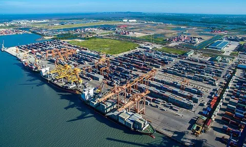 Giá cước tàu biển lại tăng vọt, Cục Hàng hải yêu cầu tăng cường giám sát