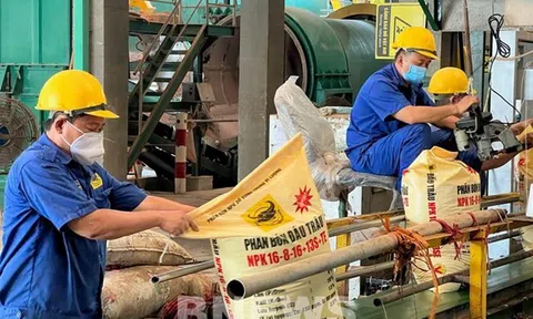 Thuế VAT cho phân bón: Áp mức 5% hay 0%?