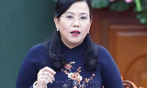 Bà Nguyễn Thanh Hải giữ chức Trưởng Ban Công tác đại biểu