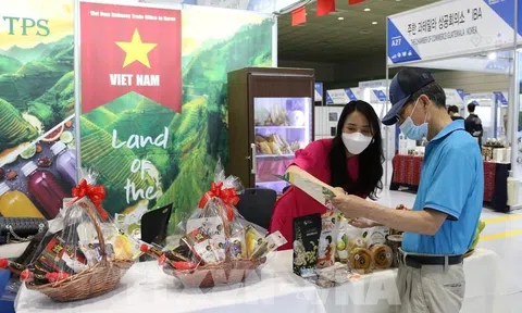 Hợp tác kinh tế Việt Nam - Hàn Quốc: Nâng tầm cả chất và lượng