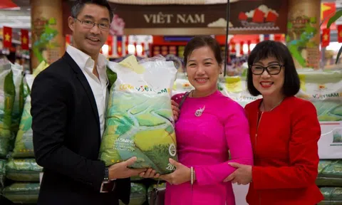 Giá gạo xuất khẩu chạm mốc 1000 USD, xuất khẩu gạo tiếp tục khởi sắc